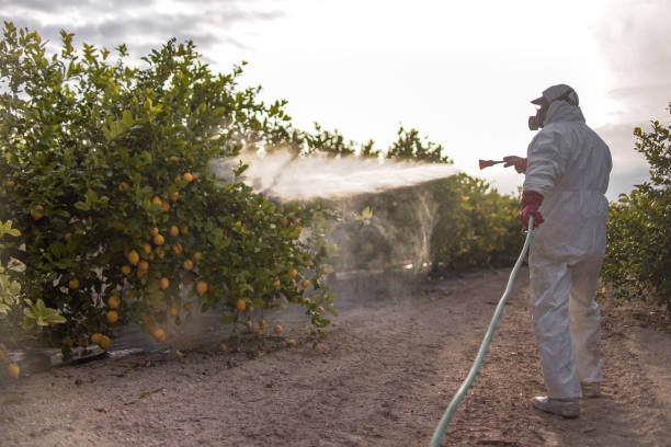Best Mosquito Control Services  in Arden On The Severn, MD