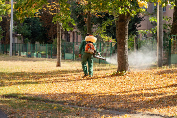 Best Termite Control Services  in Arden On The Severn, MD