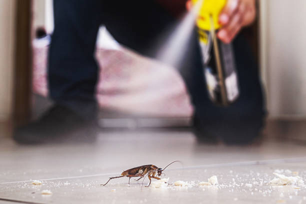 Best Best Pest Control Companies  in Arden On The Severn, MD